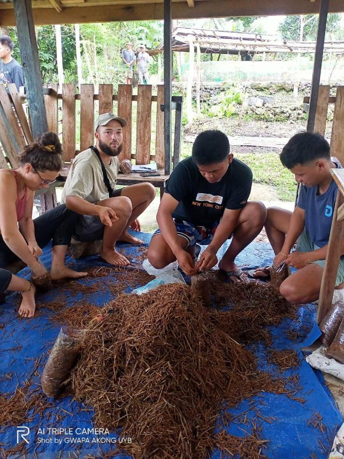 Jolits Ecogarden Hostel Batuan المظهر الخارجي الصورة